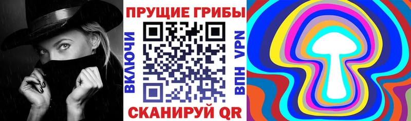 ОМГ ОМГ   Сысерть  shop Telegram  Псилоцибиновые грибы Magic Shrooms 